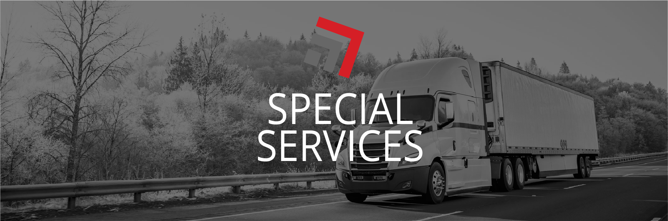 Special Services