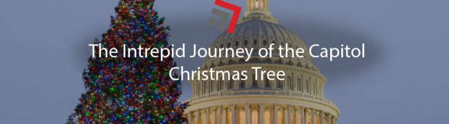 The Intrepid Journey of the Capitol Christmas Tree-01